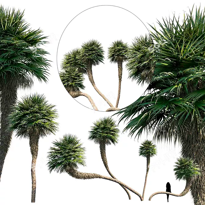 Portable Palm Set: Versatile and Convenient 3D model image 1