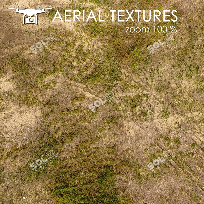 Seamless Aerial Terrain Texture 3D model image 2