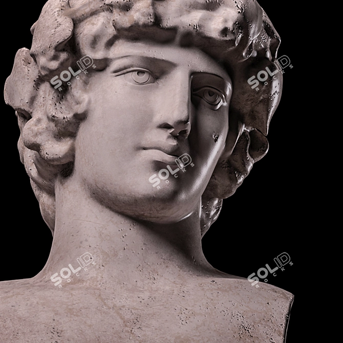 Antinous Bust Replica: Museum-Quality Masterpiece 3D model image 3