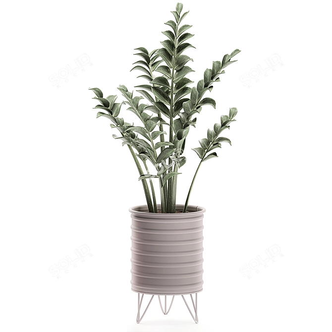 Tropical Plant Collection: Exotic Indoor Decor 3D model image 4