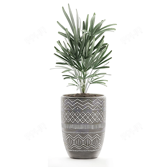 Tropical Plant Collection for Interior Decor 3D model image 2
