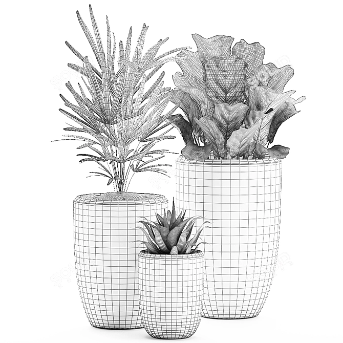 Tropical Plant Collection for Interior Decor 3D model image 5