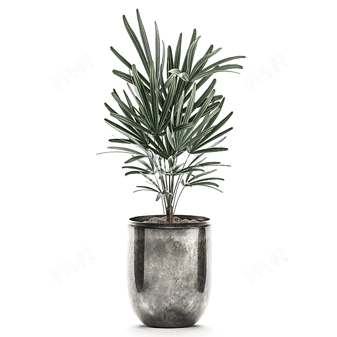 Exotic Indoor Plants Collection 3D model image 3