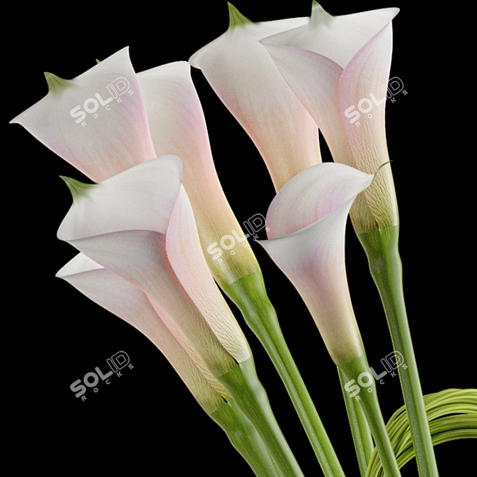 Elegant Calla Lily Decor Set 3D model image 5