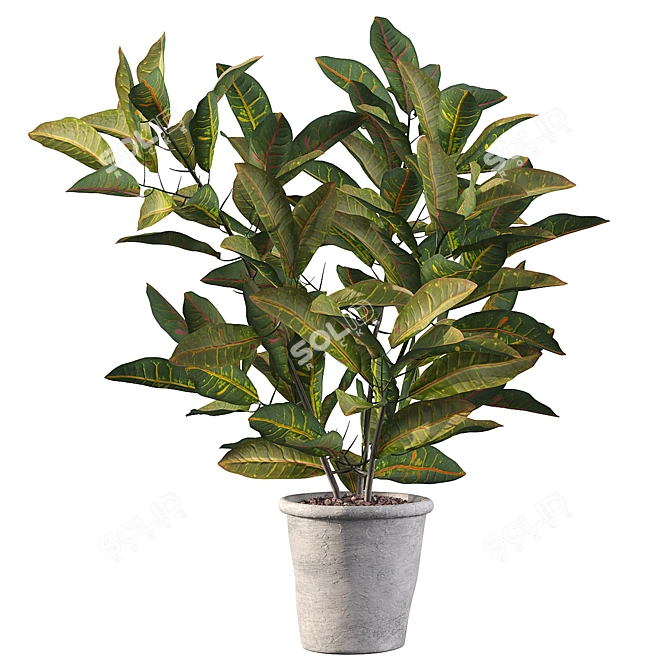 Tropical Paradise: Croton Plant 3D model image 1