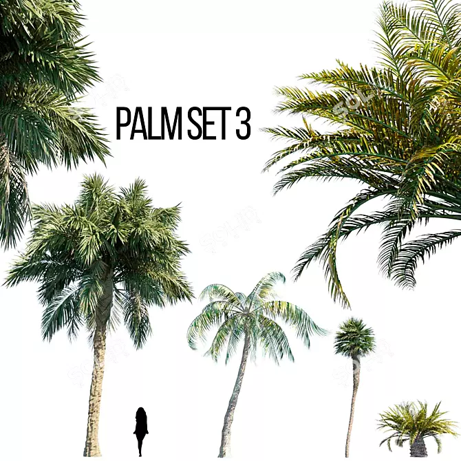 Palm Trio: Versatile Outdoor Set 3D model image 1