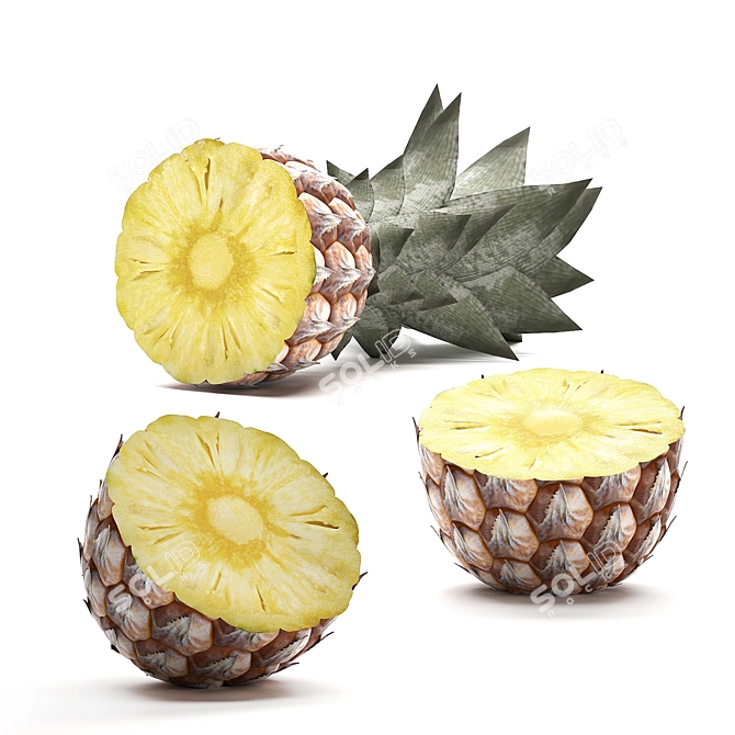 Tropical Pineapple Plant Collection 3D model image 4