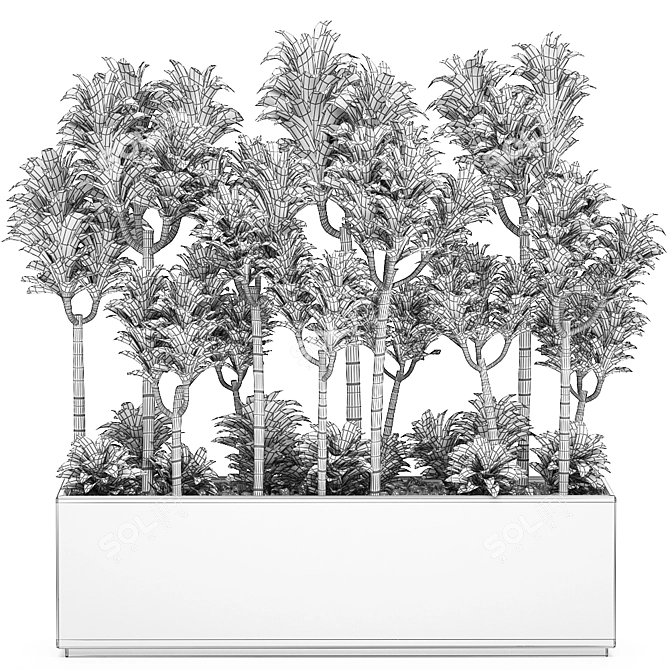 Tropical Plant Collection: Exotic Dracena Compacta in White Pots 3D model image 5