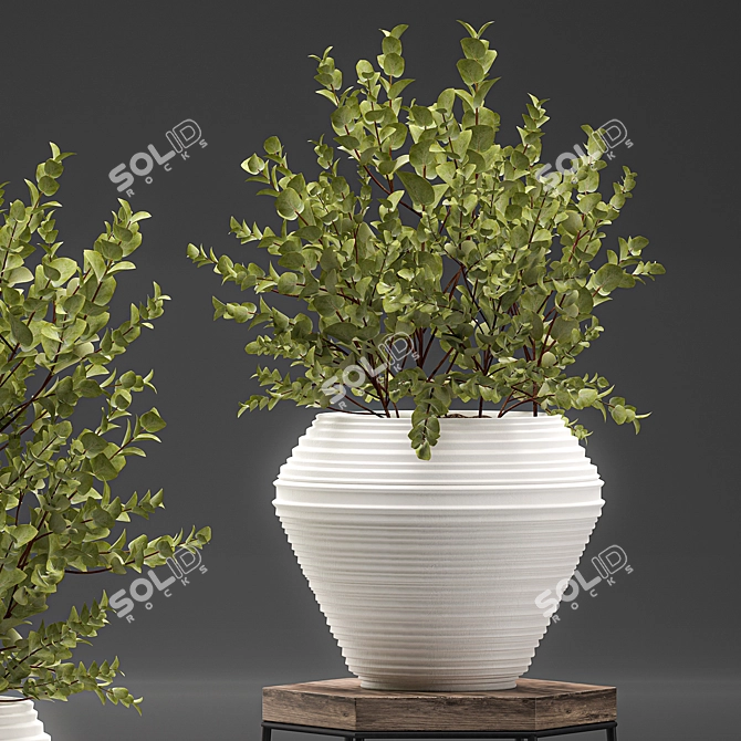 Exotic Indoor Plant Collection 3D model image 2