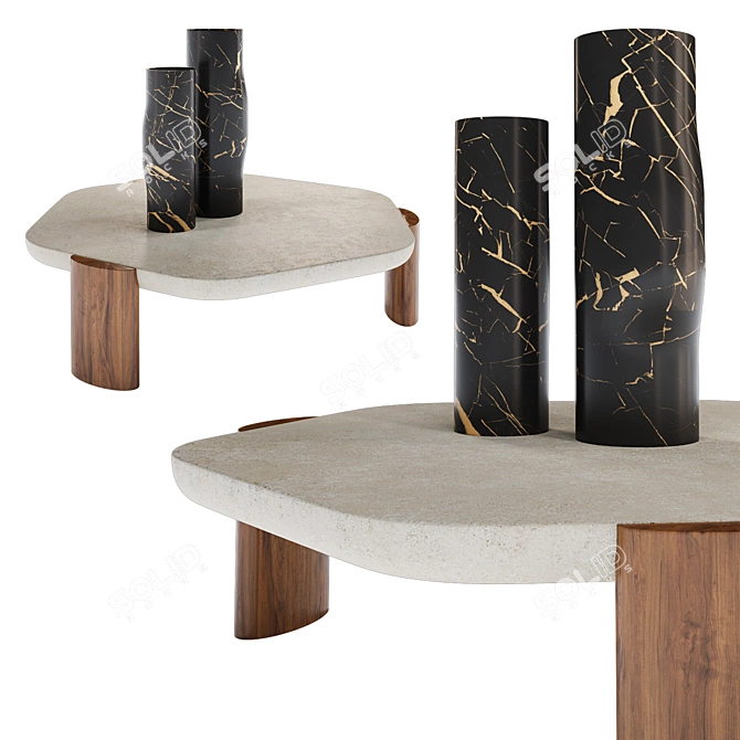 Natural Beauty Low Table 3D model image 1