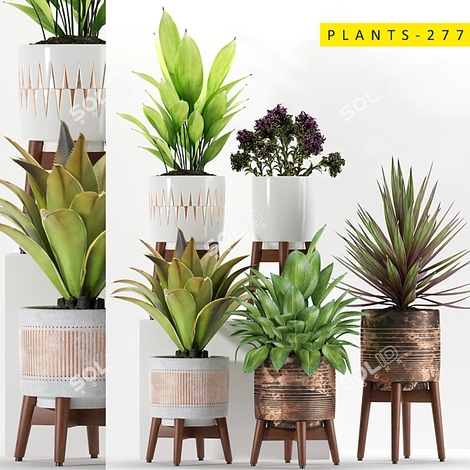 277 Plant Collection: Realistic 3D Models 3D model image 1