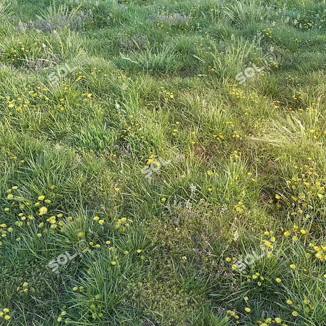 Blooming Meadow: Spring Grass with Dandelions 3D model image 1