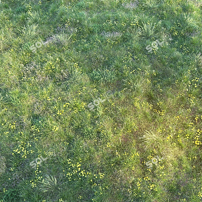 Blooming Meadow: Spring Grass with Dandelions 3D model image 2