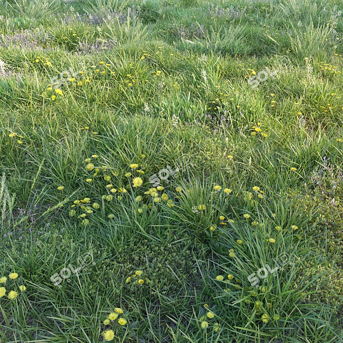 Blooming Meadow: Spring Grass with Dandelions 3D model image 3