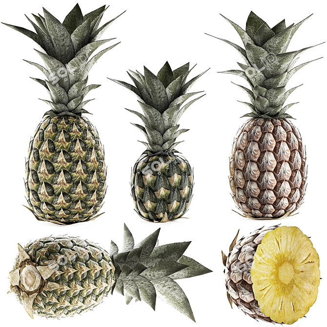 Tropical Pineapple Fruit Collection 3D model image 3