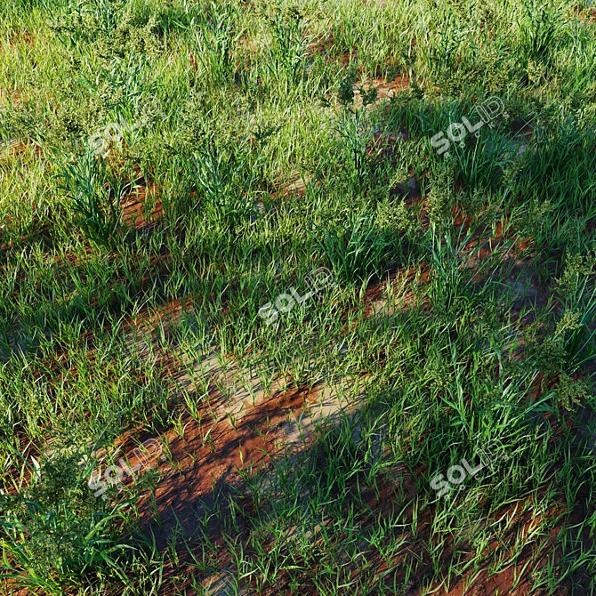 Lush Green Grass Model 3D model image 1