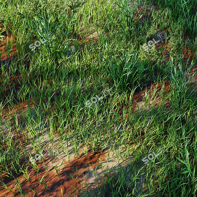 Lush Green Grass Model 3D model image 3