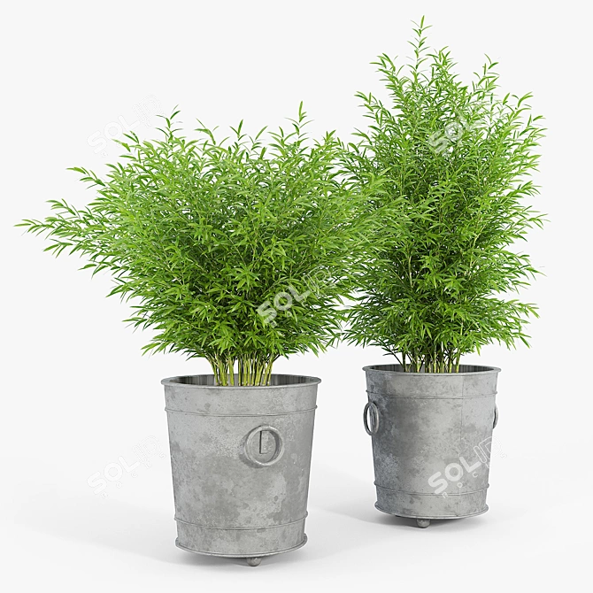 Modern Ring Planter Set 3D model image 3