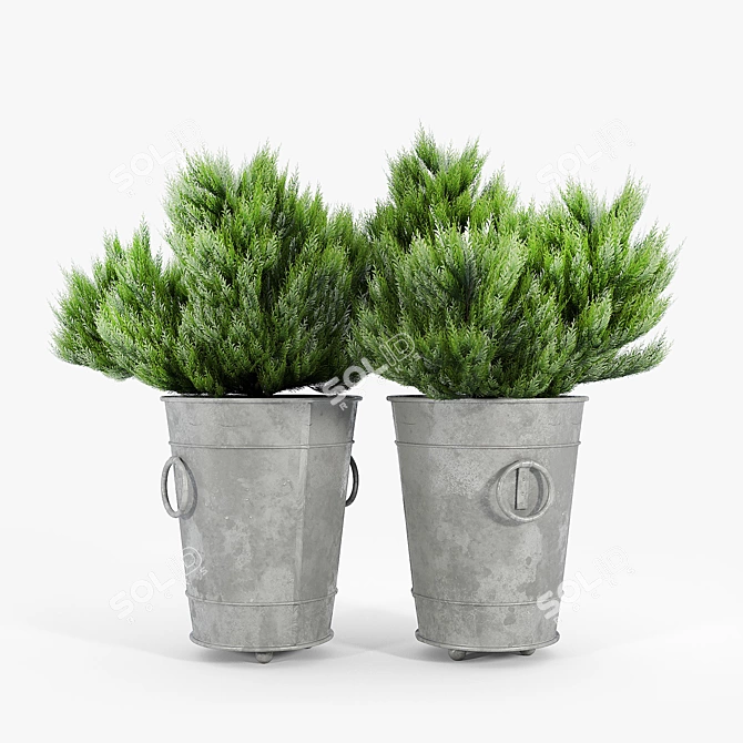 Modern Ring Planter Set 3D model image 4