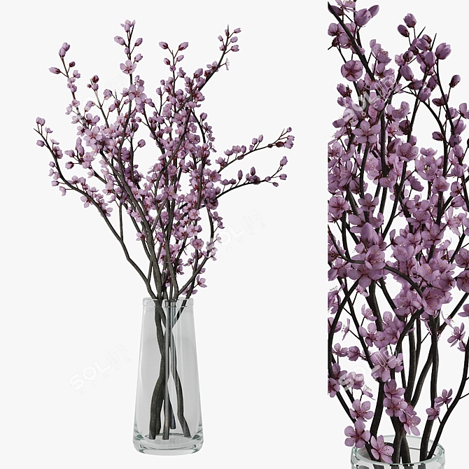 Blooming Plum Branch 3D model image 1