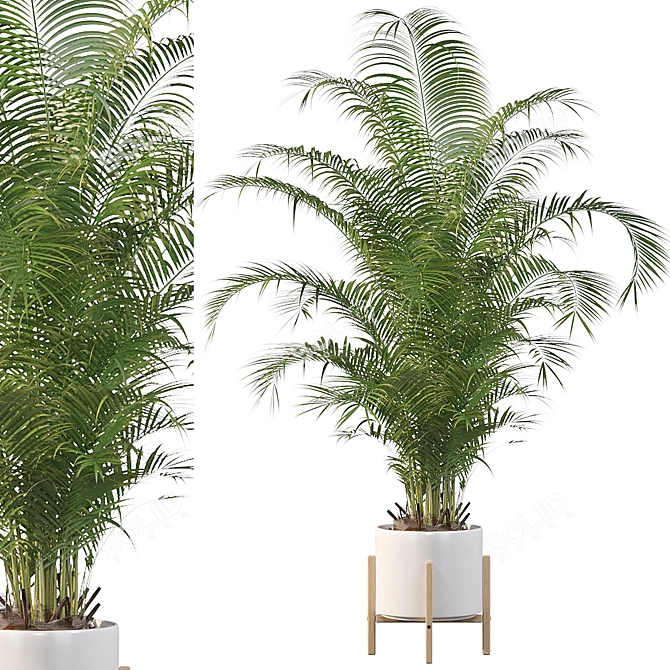 Tropical Paradise: Areca Palm 3D model image 1