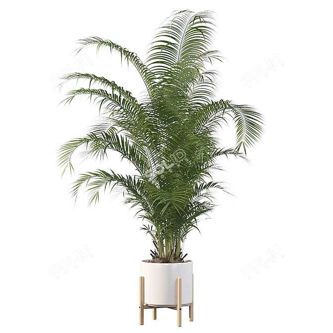 Tropical Paradise: Areca Palm 3D model image 2