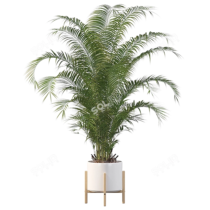 Tropical Paradise: Areca Palm 3D model image 3