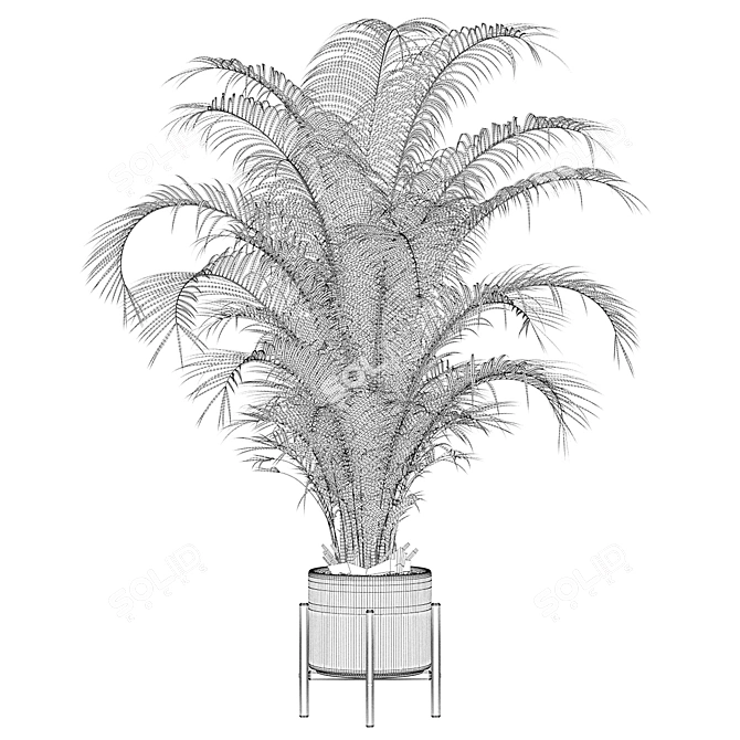 Tropical Paradise: Areca Palm 3D model image 4