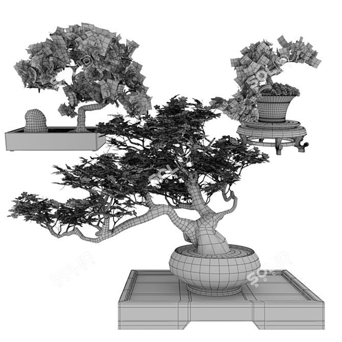 Elegant Bonsai Set for Stunning Decor 3D model image 2
