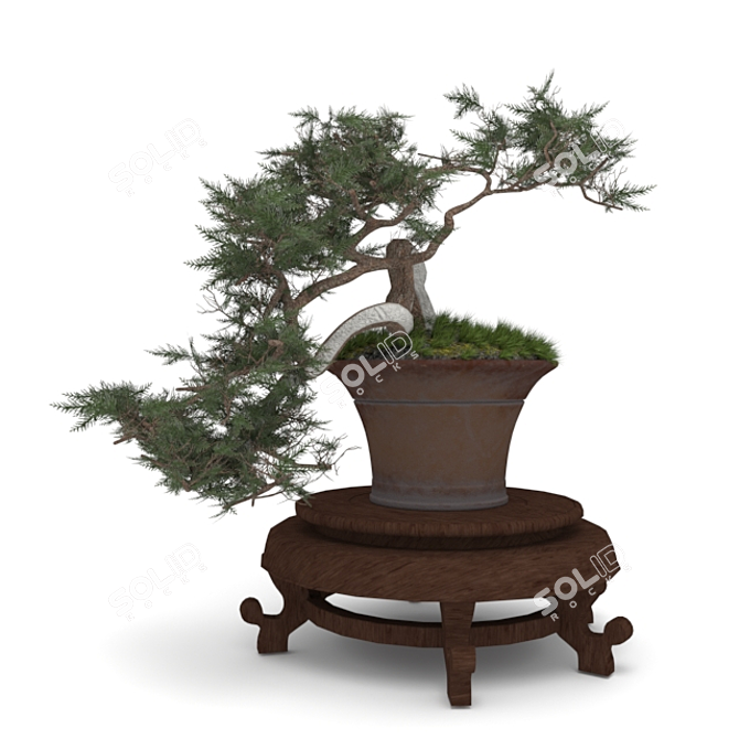 Elegant Bonsai Set for Stunning Decor 3D model image 4