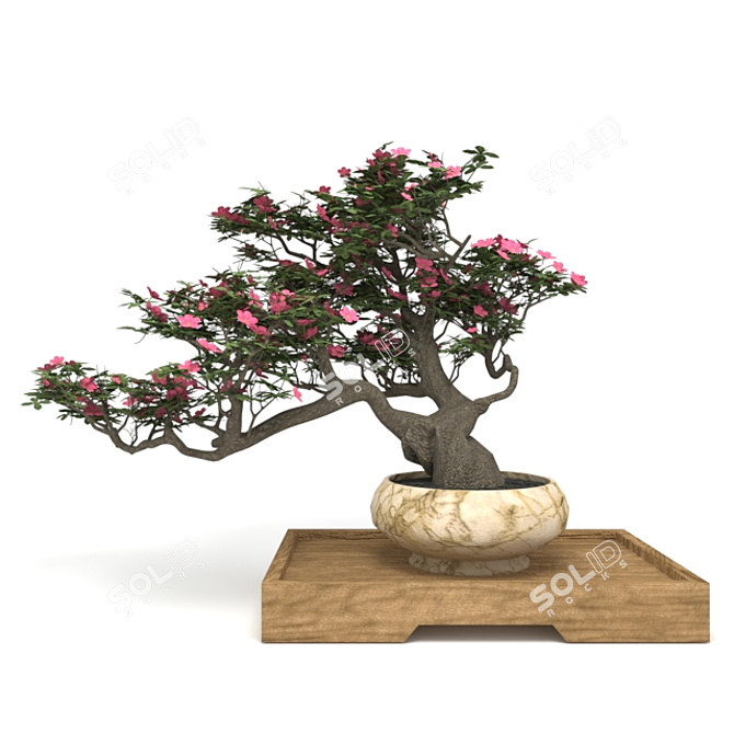 Elegant Bonsai Set for Stunning Decor 3D model image 5