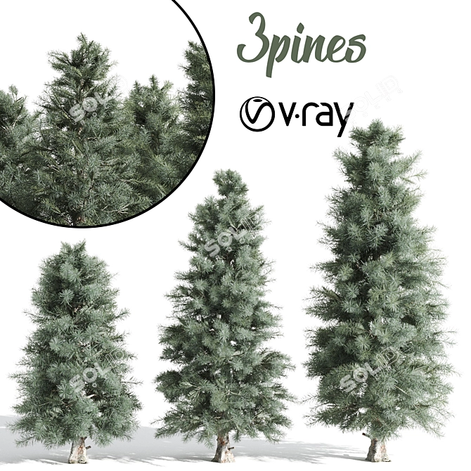 Tall Pine Trio: 8.7m, 7.4m & 5.6m 3D model image 1