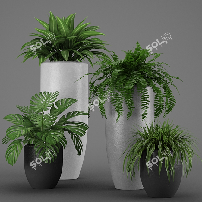 Lush Greenery Collection 3D model image 2