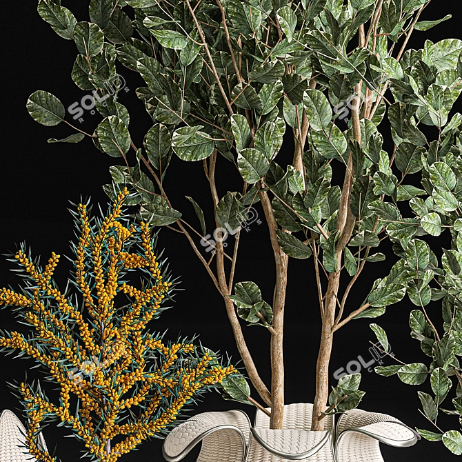 Tropical Plant Collection in White Baskets 3D model image 3