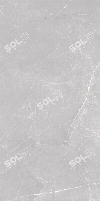 Sterlina Gray Marble Set - High Quality Multi-Texture Tiles 3D model image 4