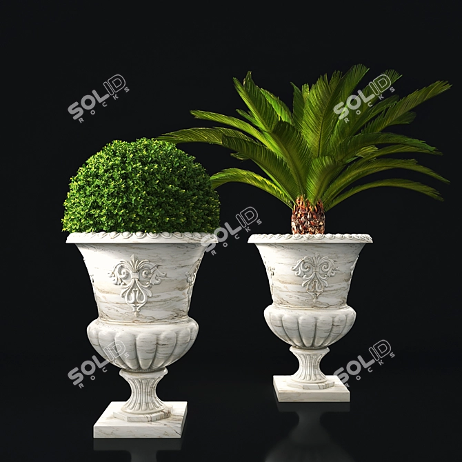 Antique Marble Urn: Boxwood & Cycas Palm 3D model image 1