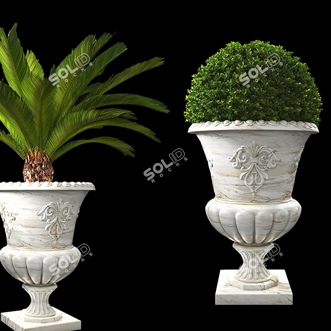 Antique Marble Urn: Boxwood & Cycas Palm 3D model image 2