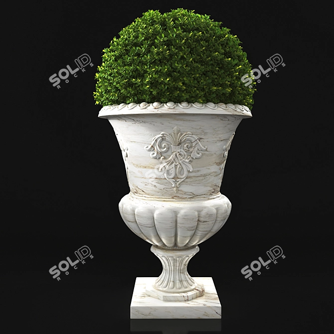 Antique Marble Urn: Boxwood & Cycas Palm 3D model image 3