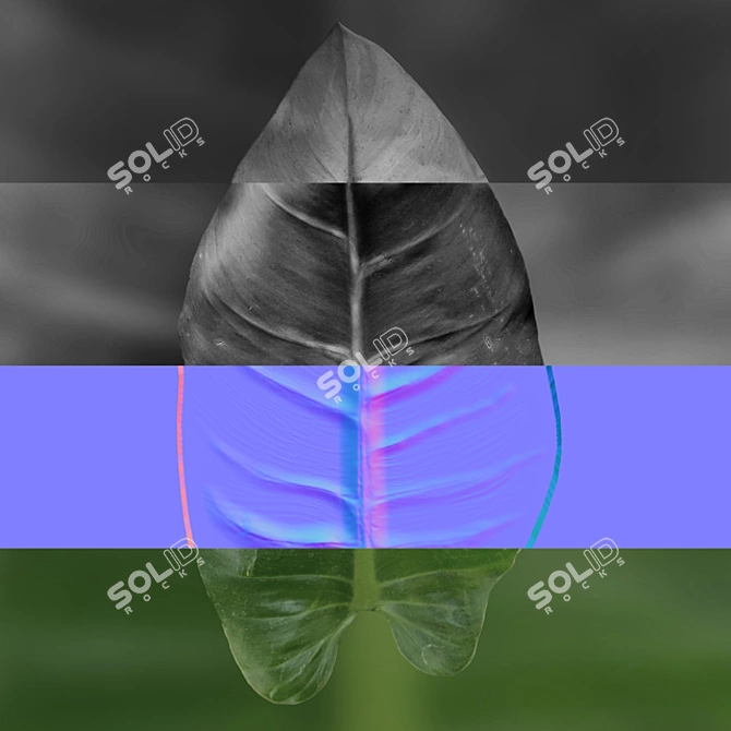 Lush Philodendron Imperial Green 3D model image 1