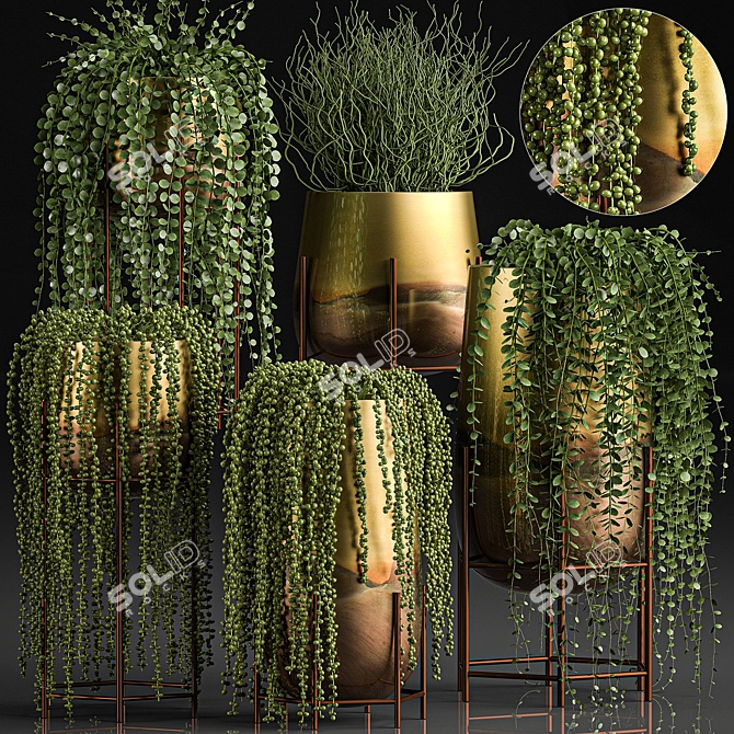 Tropical Plant Collection: Exotic Indoor Succulents 3D model image 1