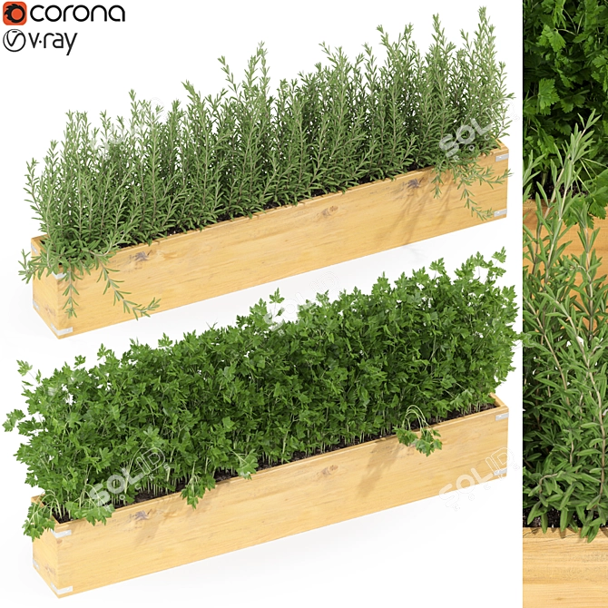 Tropical Paradise: Exquisite Plant Collection 3D model image 1