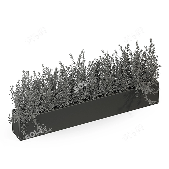 Tropical Paradise: Exquisite Plant Collection 3D model image 3