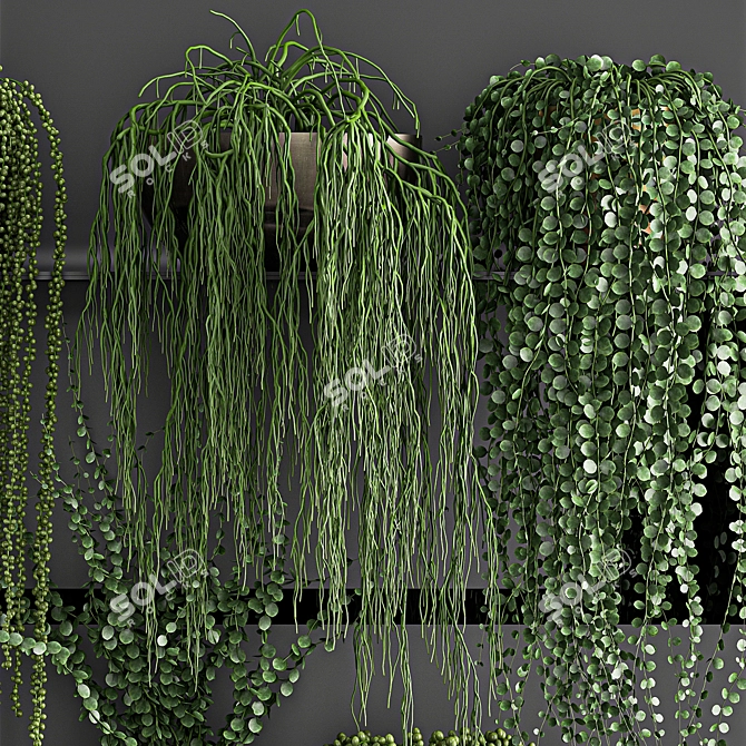 Title: Vertical Green Decor - Exotic & Tropical Plants 3D model image 3