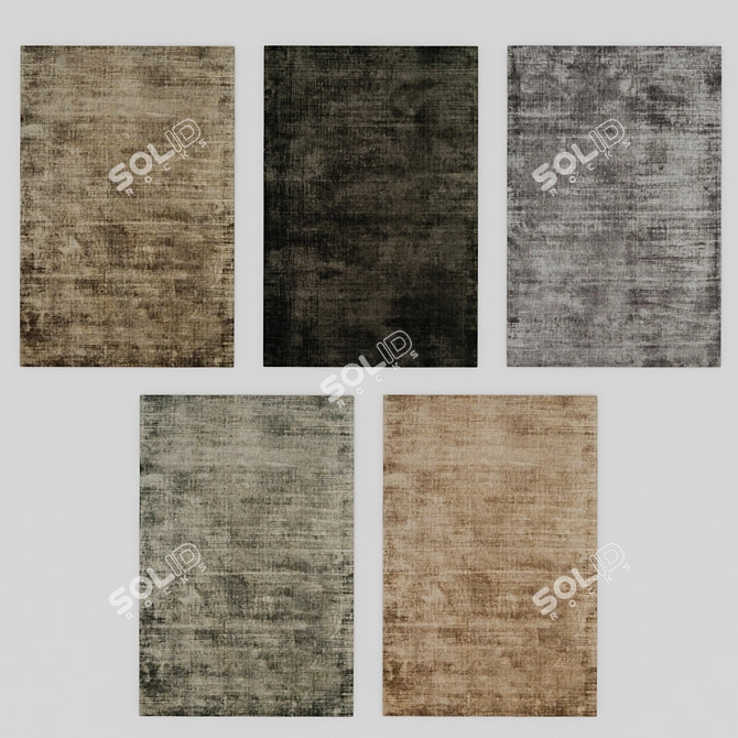 Contemporary Handwoven Silky Smooth Rug 3D model image 2