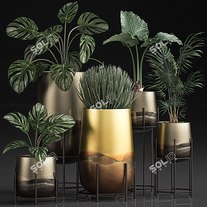 Tropical Plant Collection: Monstera, Kentia, Sansevieria 3D model image 1