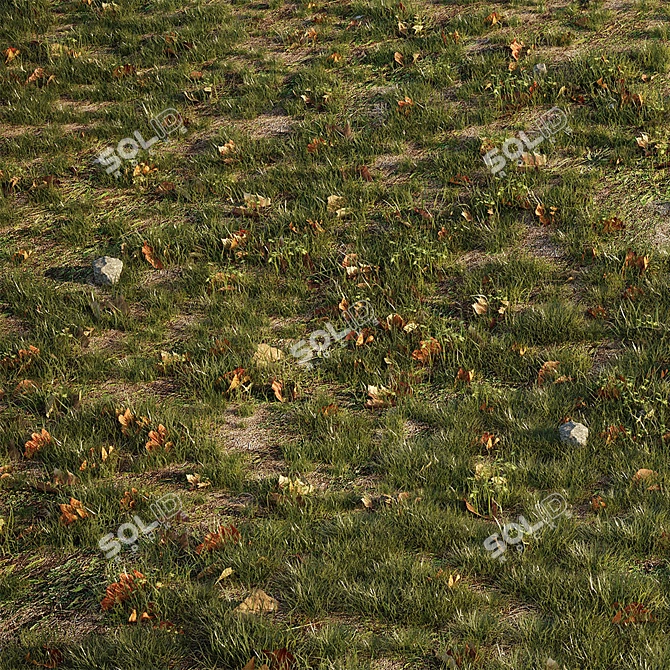 Lush Lawn Paradise: Realistic House Grass 3D model image 1