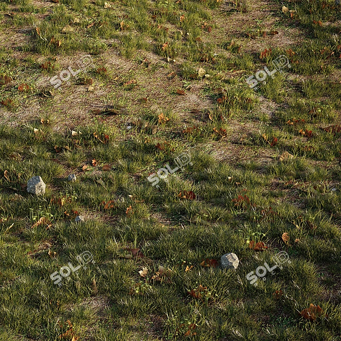 Lush Lawn Paradise: Realistic House Grass 3D model image 2