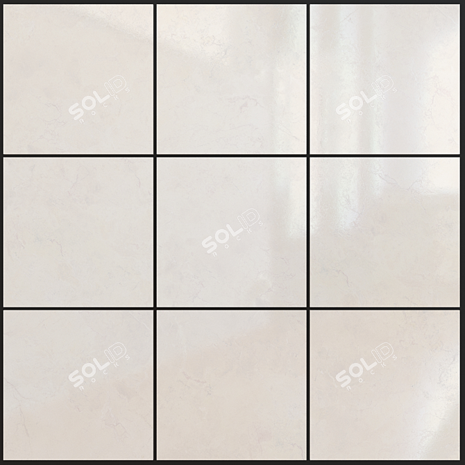 Mioni Bone Marble Set: High-Quality, Multi-Texture 3D model image 1