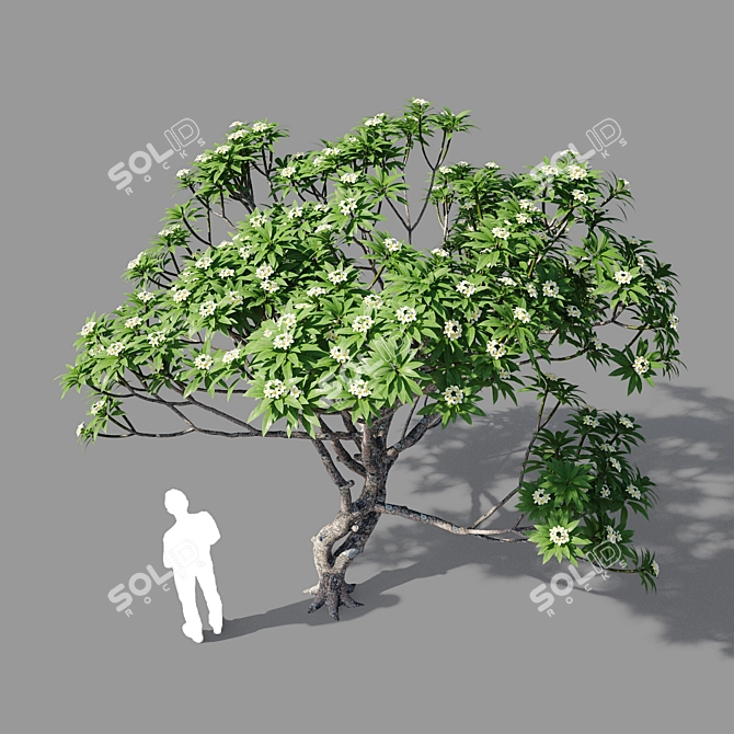 Polys: 422 791 - Unique Purity 3D model image 2