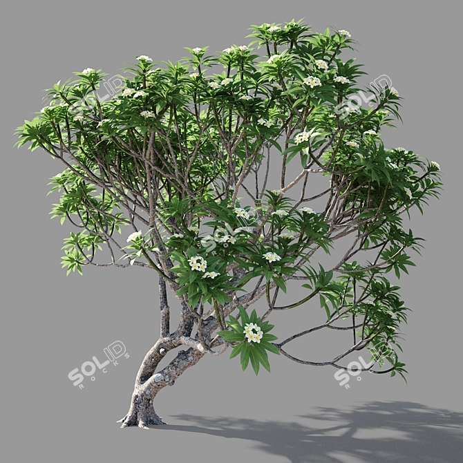 Polys: 422 791 - Unique Purity 3D model image 3